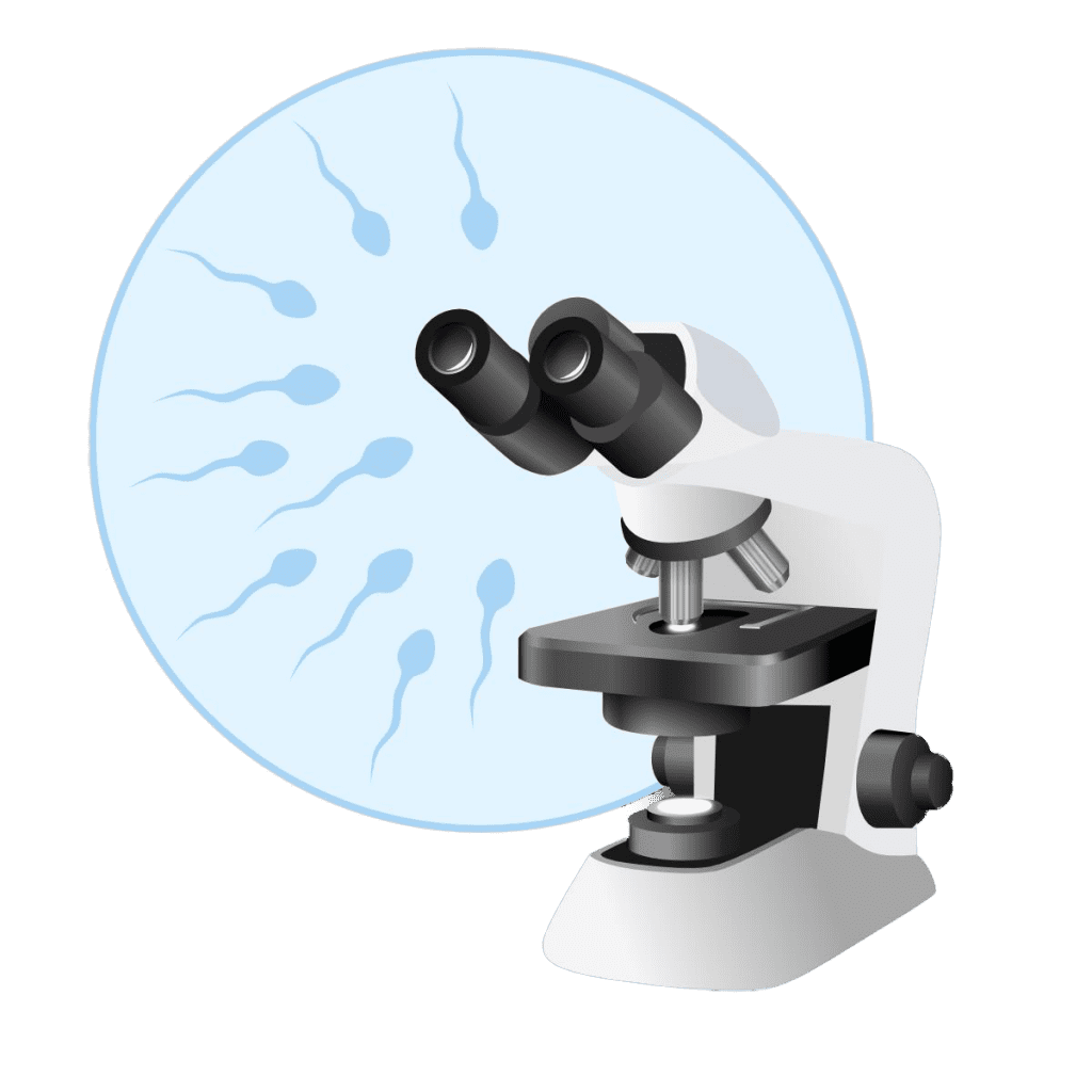 Spermiogramm